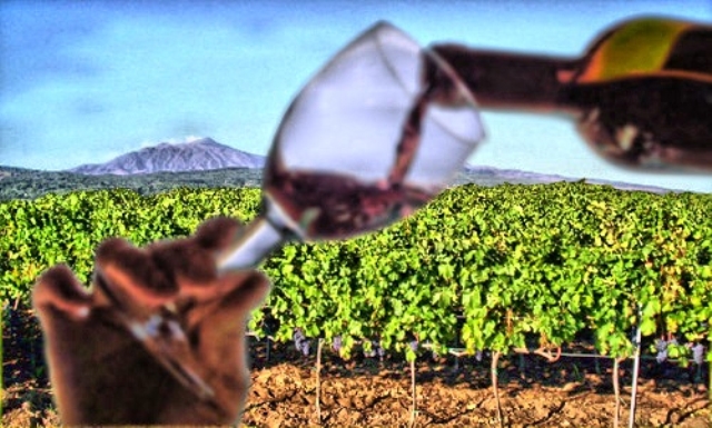 vino-etna